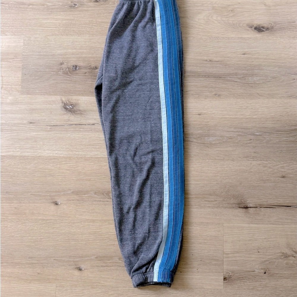 Aviator Nation gray sweatpant joggers